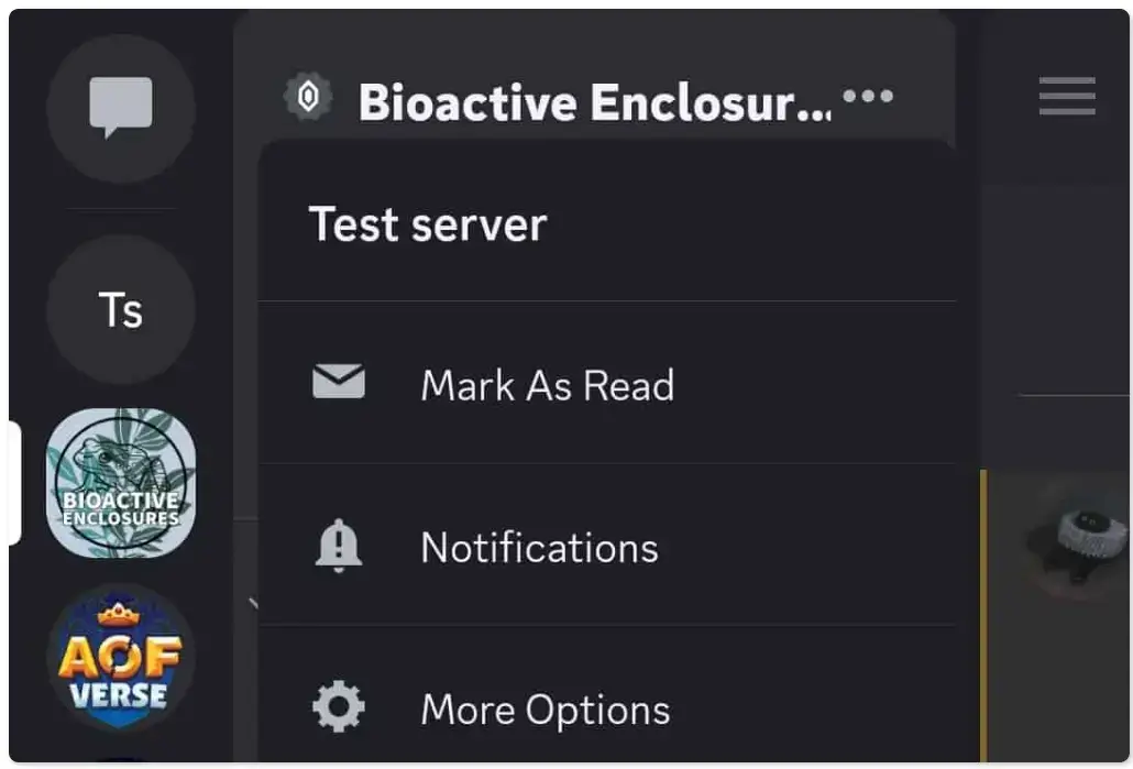 How to Delete Discord Servers from the Mobile App - options