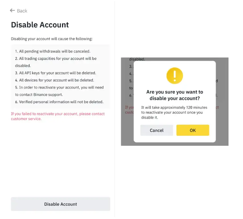 How to Temporarily Disable Your Binance Account via the Binance App - step 3